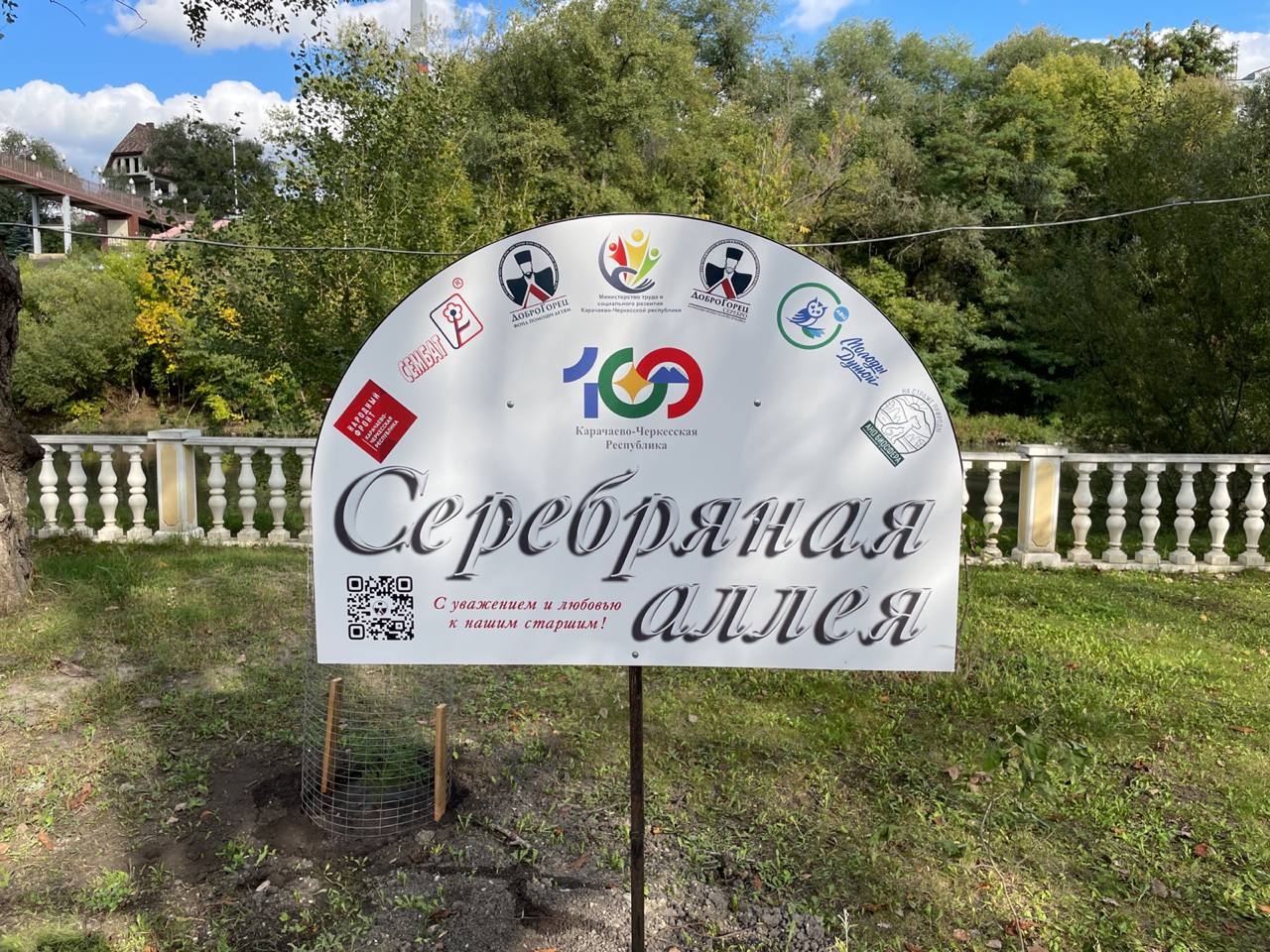«Серебряную» аллею высадили в Карачаево-Черкесии в честь представителей старшего поколения​