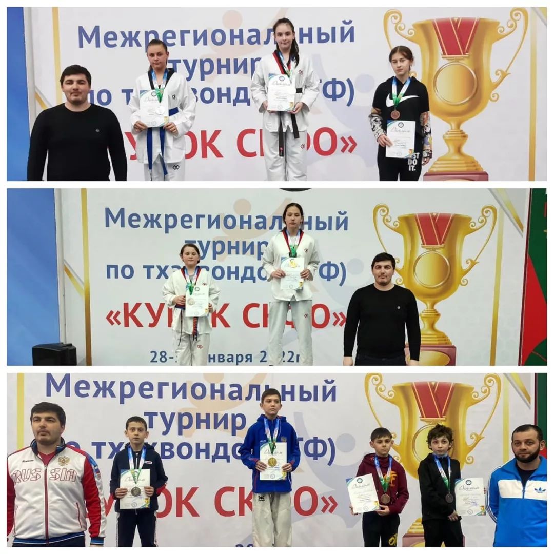 Спортсмены из Карачаево-Черкесии показали высокие результаты на Кубке СКФО по тхэквондо