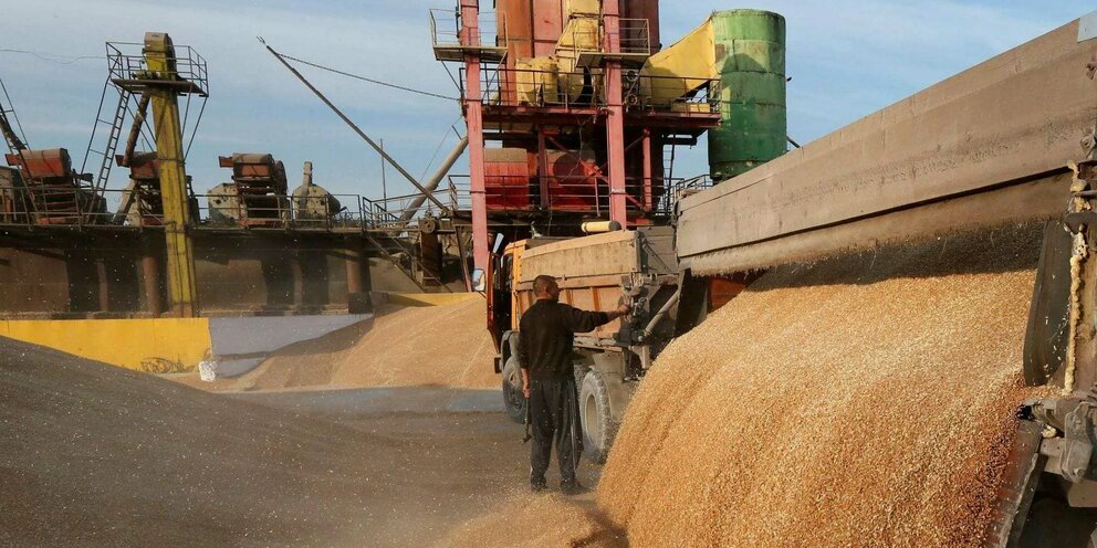До 100 тонн зерновых планирует экспортировать Карачаево-Черкесия до 2024 года  