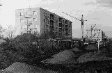 Последние хаты на ул. Ленина (район швейной фабрики)