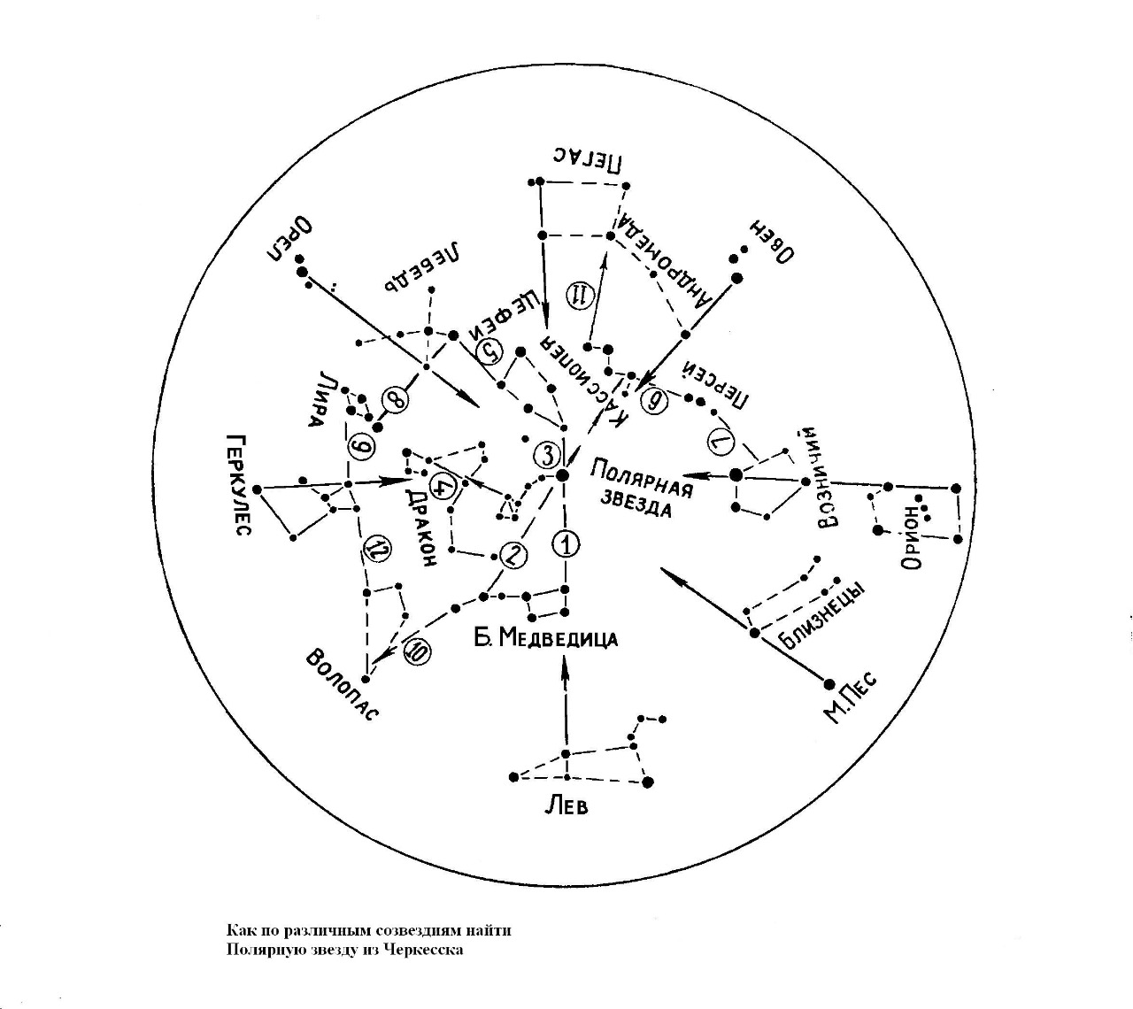 Местоположения звезд. Карта звёздного неба созвездия Полярная звезда. Схема взаимного расположения созвездий и ярких звезд. Подвижная карта звездного неба большая Медведица. Полярная звезда на подвижной карте звездного неба.